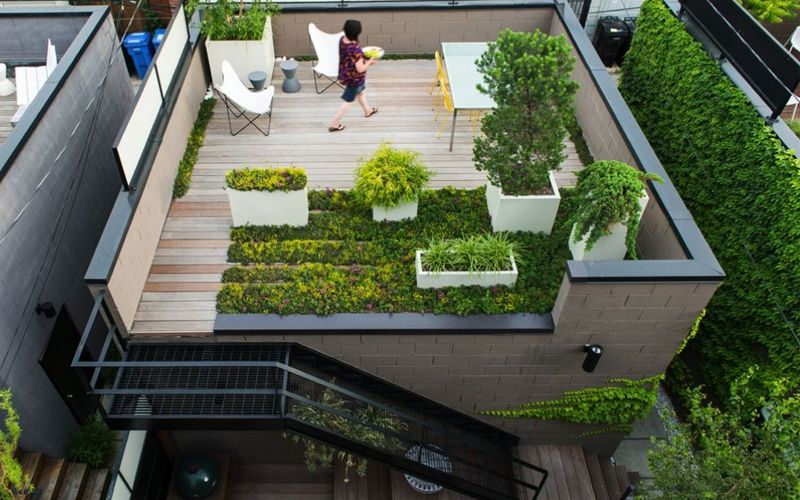 Roof and Terrace Gardening